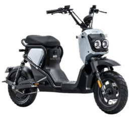 image-removebg-preview (29)